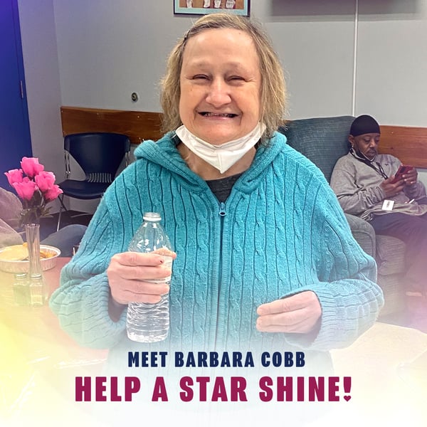 TKC-Fundraising-Campaign-Shining-Star-Carousel-Barbara-CobbArtboard 1 copy